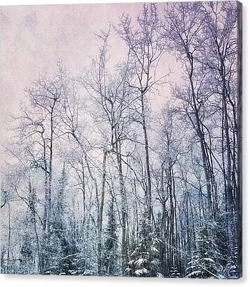 Winter Forest Canvas Print