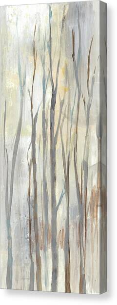 Wispy Birches II Canvas Art Print by Jennifer Goldberger