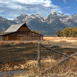 Withstanding The Test Of Time by Sandra Bronstein