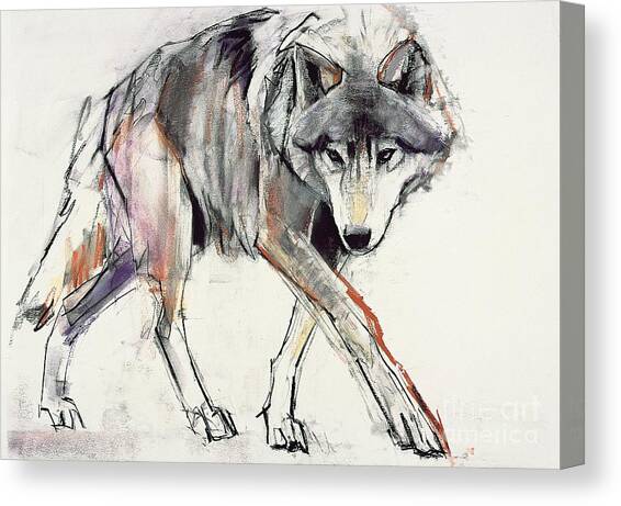Wolf  Canvas Art Print by Mark Adlington