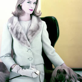 Woman with Afghan Dog by Henry Clarke