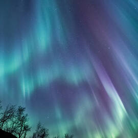 Worth the wait by Tor-Ivar Naess