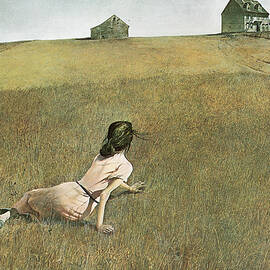 Wyeth-christina's World by Portfolio Arts Group