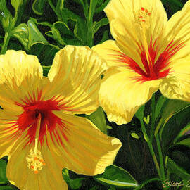 Yellow Hibiscus by Steve Simon