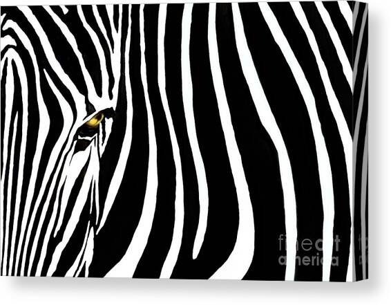 Zebressence Canvas Art Print by Dan Holm
