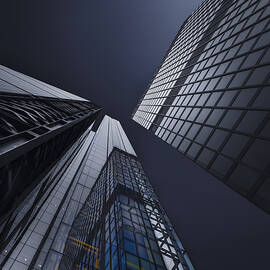 Zenith by Ahmed Thabet