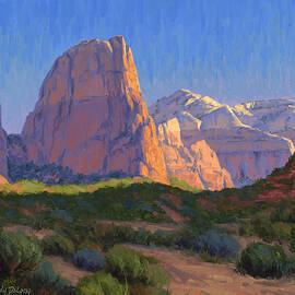 Zion Light Show by Cody DeLong