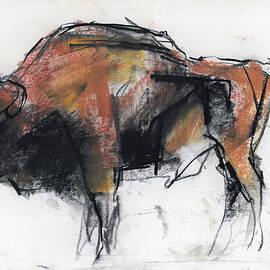 Zubre  Bialowieza by Mark Adlington